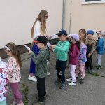 phoca_thumb_m_veverky 1. skup 2 Fotogalerie